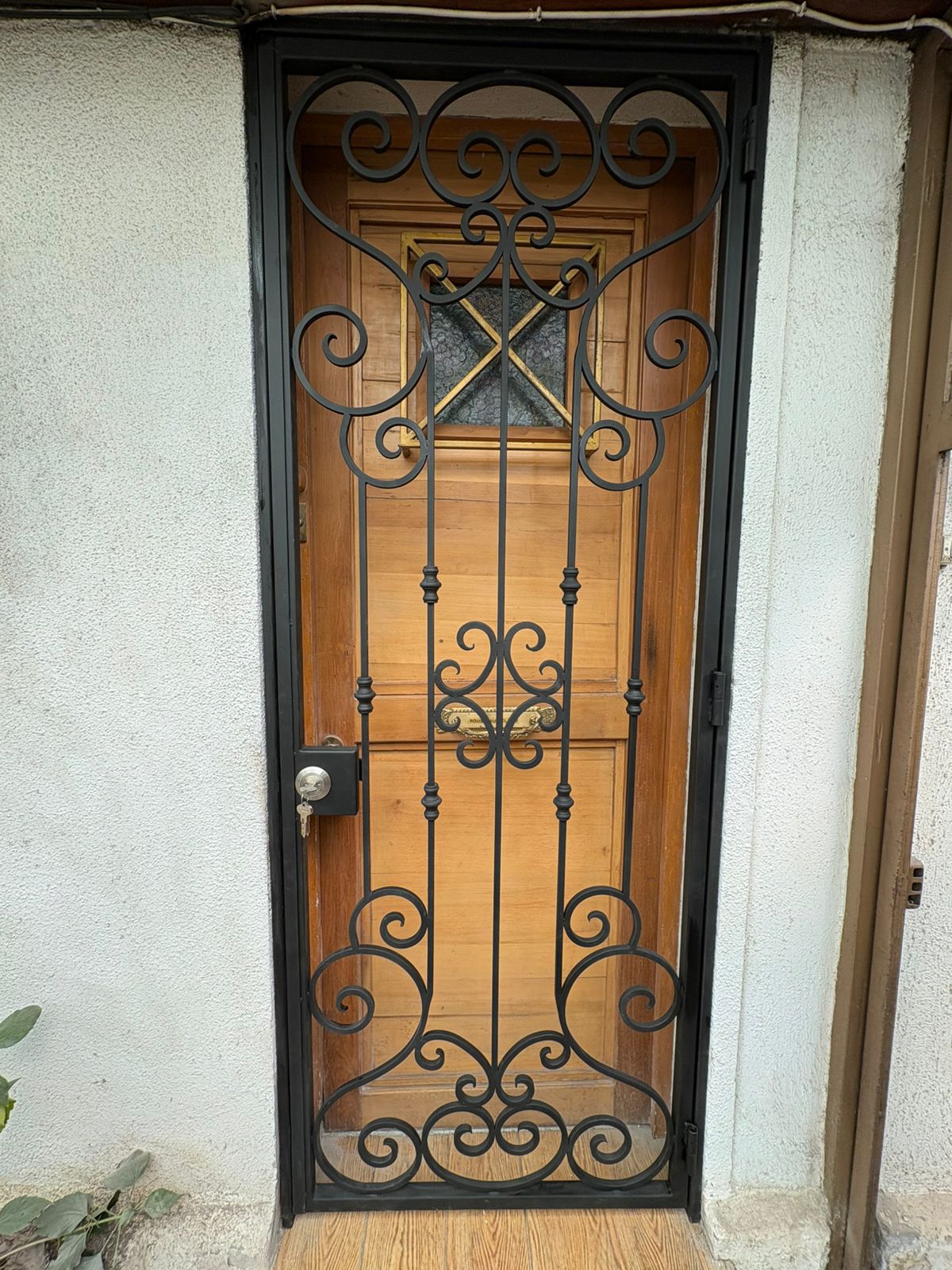 Puerta de Fierro Forjado Rousseau | Fabricación Artesanal